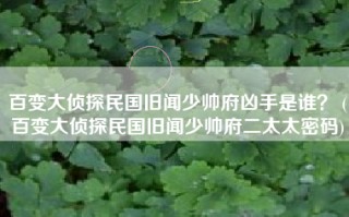 百变大侦探民国旧闻少帅府凶手是谁？ (百变大侦探民国旧闻少帅府二太太密码)