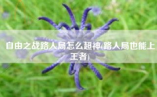 自由之战路人局怎么超神(路人局也能上王者)