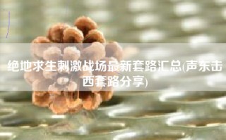 绝地求生刺激战场最新套路汇总(声东击西套路分享)