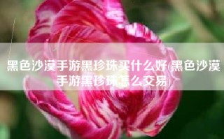 黑色沙漠手游黑珍珠买什么好(黑色沙漠手游黑珍珠怎么交易)