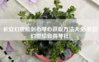 长安幻世绘剑心琴心获取方法大全(长安幻世绘自得琴社)