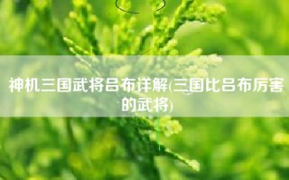 神机三国武将吕布详解(三国比吕布厉害的武将)