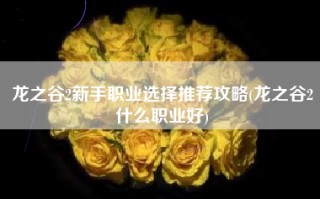 龙之谷2新手职业选择推荐攻略(龙之谷2什么职业好)
