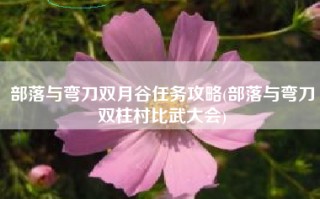 部落与弯刀双月谷任务攻略(部落与弯刀双柱村比武大会)