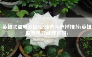 英雄联盟电竞经理SSR选手选择推荐(英雄联盟电竞经理官网)