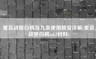 重装战姬白鸦及九条使用感受详解(重装战姬白鸦mk2材料)