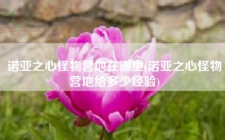 诺亚之心怪物营地在哪里(诺亚之心怪物营地给多少经验)