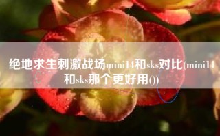 绝地求生刺激战场mini14和sks对比(mini14和sks那个更好用())