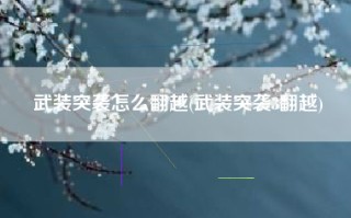 武装突袭怎么翻越(武装突袭3翻越)
