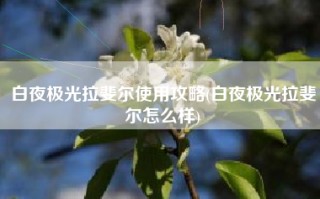 白夜极光拉斐尔使用攻略(白夜极光拉斐尔怎么样)