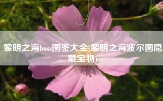 黎明之海boss图鉴大全(黎明之海波尔图隐藏宝物)