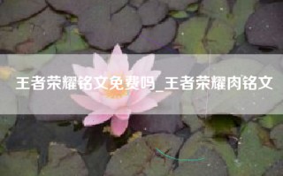 王者荣耀铭文免费吗_王者荣耀肉铭文