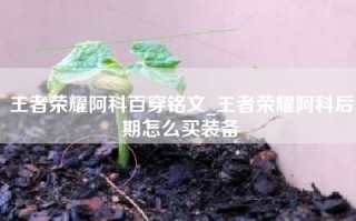 王者荣耀阿科百穿铭文_王者荣耀阿科后期怎么买装备