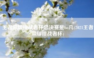 王者荣耀挑战者杯总决赛是bo几(2021王者荣耀挑战者杯)