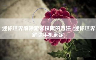 迷你世界解除游客权限的方法 (迷你世界解除手机绑定)