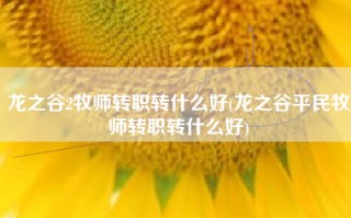 龙之谷2牧师转职转什么好(龙之谷平民牧师转职转什么好)