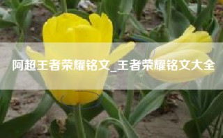 阿超王者荣耀铭文_王者荣耀铭文大全