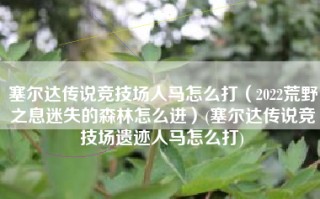 塞尔达传说竞技场人马怎么打（2022荒野之息迷失的森林怎么进）(塞尔达传说竞技场遗迹人马怎么打)
