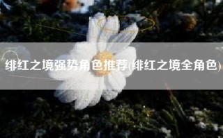 绯红之境强势角色推荐(绯红之境全角色)