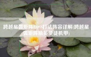 跨越星弧矩阵BOSS打法阵容详解(跨越星弧矩阵精英使徒机甲)