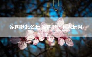 家国梦怎么玩(家国梦还有人玩吗)