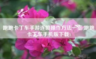 跑跑卡丁车手游连喷操作方法一览(跑跑卡丁车手机版下载)