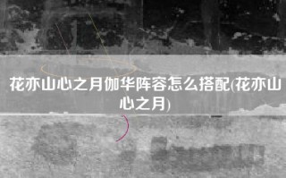 花亦山心之月伽华阵容怎么搭配(花亦山心之月)