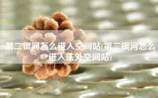 第二银河怎么进入空间站(第二银河怎么进入法外空间站)
