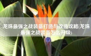 龙珠最强之战装备打造与改造攻略(龙珠最强之战装备怎么升级)