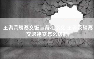 王者荣耀蔡文姬装备和铭文(王者荣耀蔡文姬铭文怎么搭配)