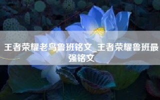 王者荣耀老鸟鲁班铭文_王者荣耀鲁班最强铭文