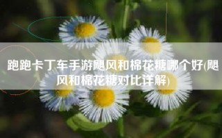 跑跑卡丁车手游飓风和棉花糖哪个好(飓风和棉花糖对比详解)