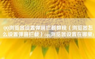QQ浏览器设置弹窗拦截教程（浏览器怎么设置弹窗拦截）(qq浏览器设置在哪里)