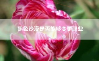 黑色沙漠是否能够变更职业