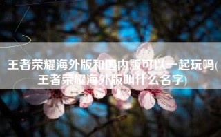 王者荣耀海外版和国内版可以一起玩吗(王者荣耀海外版叫什么名字)