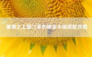 黑潮之上御三家伤痕流卡组搭配攻略