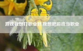 游戏我想打职业好,我想把游戏当职业