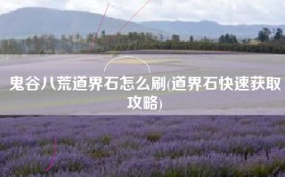 鬼谷八荒道界石怎么刷(道界石快速获取攻略)