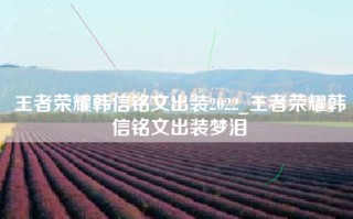 王者荣耀韩信铭文出装2022_王者荣耀韩信铭文出装梦泪
