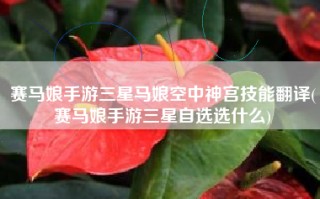 赛马娘手游三星马娘空中神宫技能翻译(赛马娘手游三星自选选什么)
