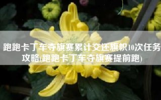 跑跑卡丁车夺旗赛累计交还旗帜10次任务攻略(跑跑卡丁车夺旗赛提前跑)