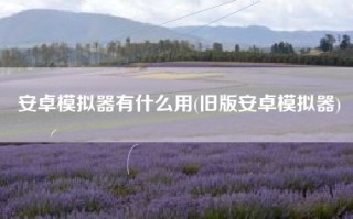安卓模拟器有什么用(旧版安卓模拟器)