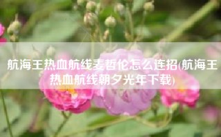 航海王热血航线麦哲伦怎么连招(航海王热血航线朝夕光年下载)