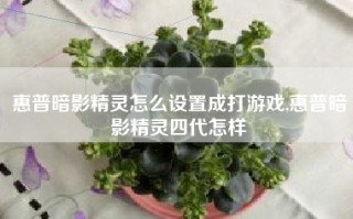 惠普暗影精灵怎么设置成打游戏,惠普暗影精灵四代怎样