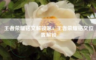 王者荣耀铭文解锁第4_王者荣耀铭文位置解锁