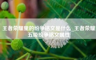王者荣耀里的纷争铭文是什么_王者荣耀五级纷争铭文属性