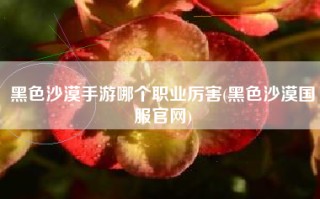 黑色沙漠手游哪个职业厉害(黑色沙漠国服官网)