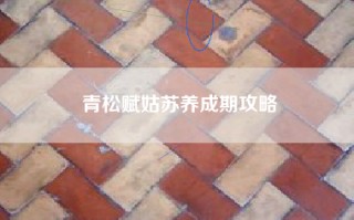 青松赋姑苏养成期攻略