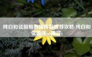 纯白和弦前期最强阵容推荐攻略(纯白和弦最强ssr阵容)