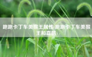 跑跑卡丁车美猴王属性(跑跑卡丁车美猴王和喜鹊)